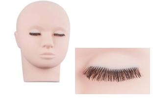 #566 model head with eyelashes 1